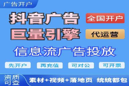 行业领先SEM托管代运营案例